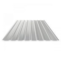 Профнастил НС20 RAL 7035 светло-серый 0.65 мм