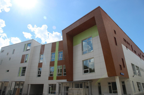 Вертикаль 0,2 classic 0,45 Drap-double TX с пленкой RAL 9005 черный